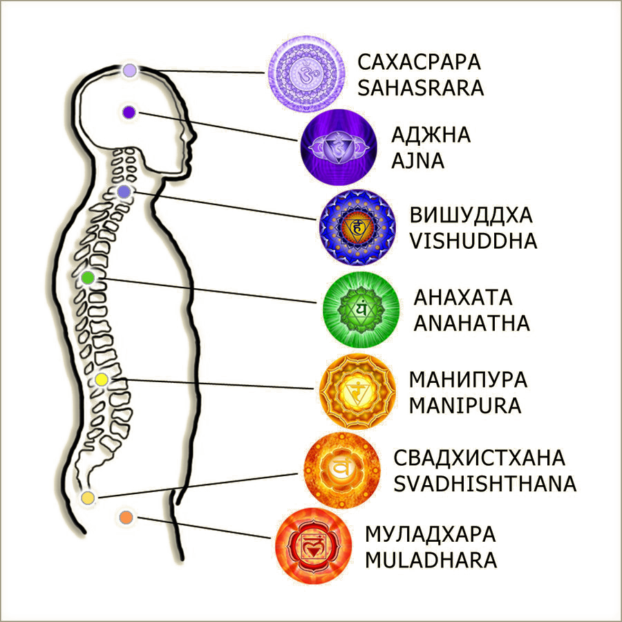 Расположение чакр.